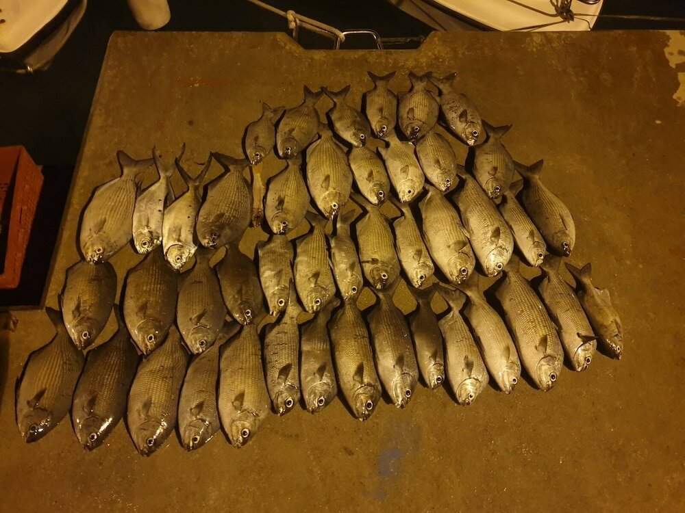 Фото Отель Perla Dhangethi