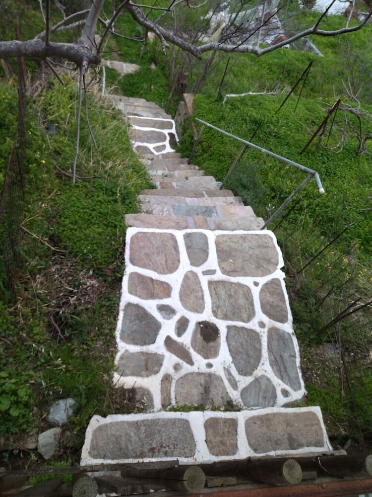 Фото Summer Sunrice Andros