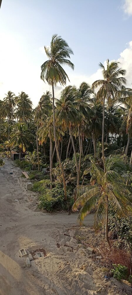 Фото Гостевой дом Blue Wave Maldives