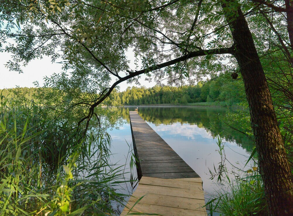 Фото Landhaus Griessee