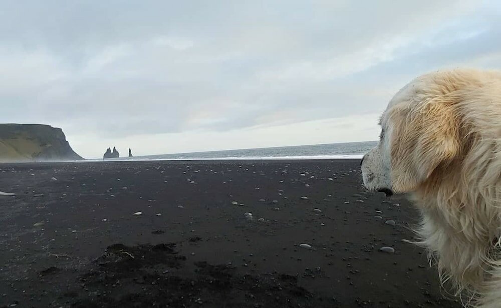 Фото Prestshús 2 Guesthouse