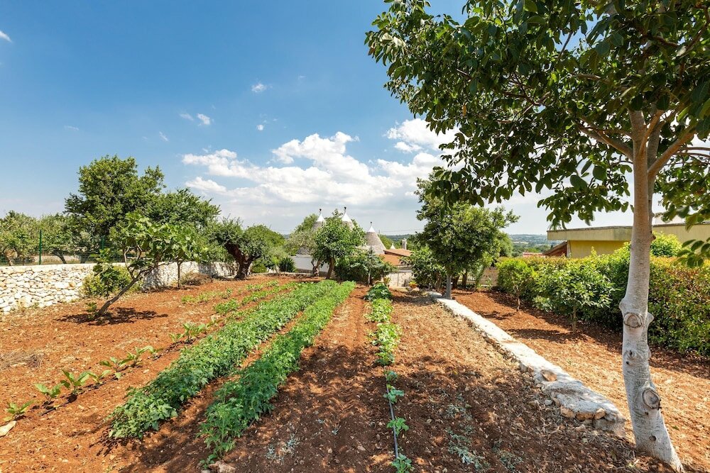 Фото 2061 Villa Trulli Natura by Perle di Puglia