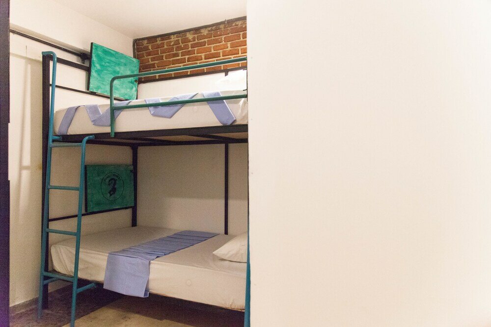 Фото Bunky Monkey - Hostel