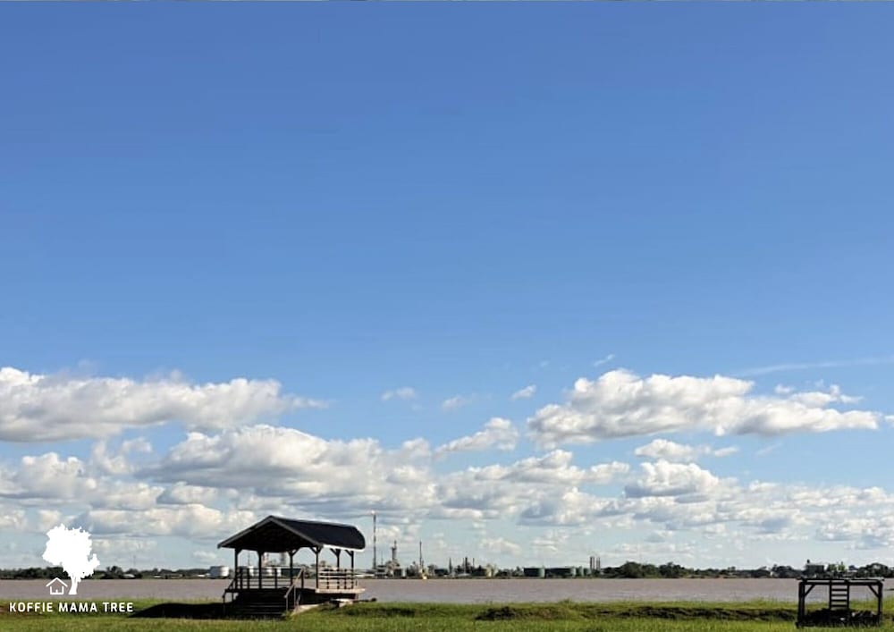 Фото Koffiemama Tree B&b