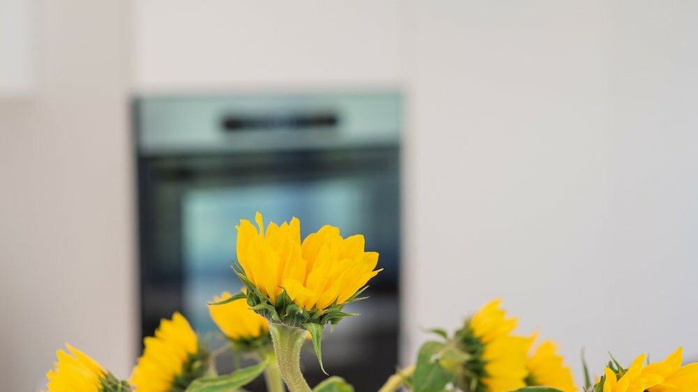 Фото Seaside Lodge