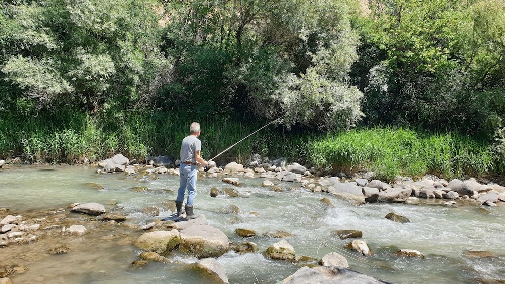 Фото Areni Lodge