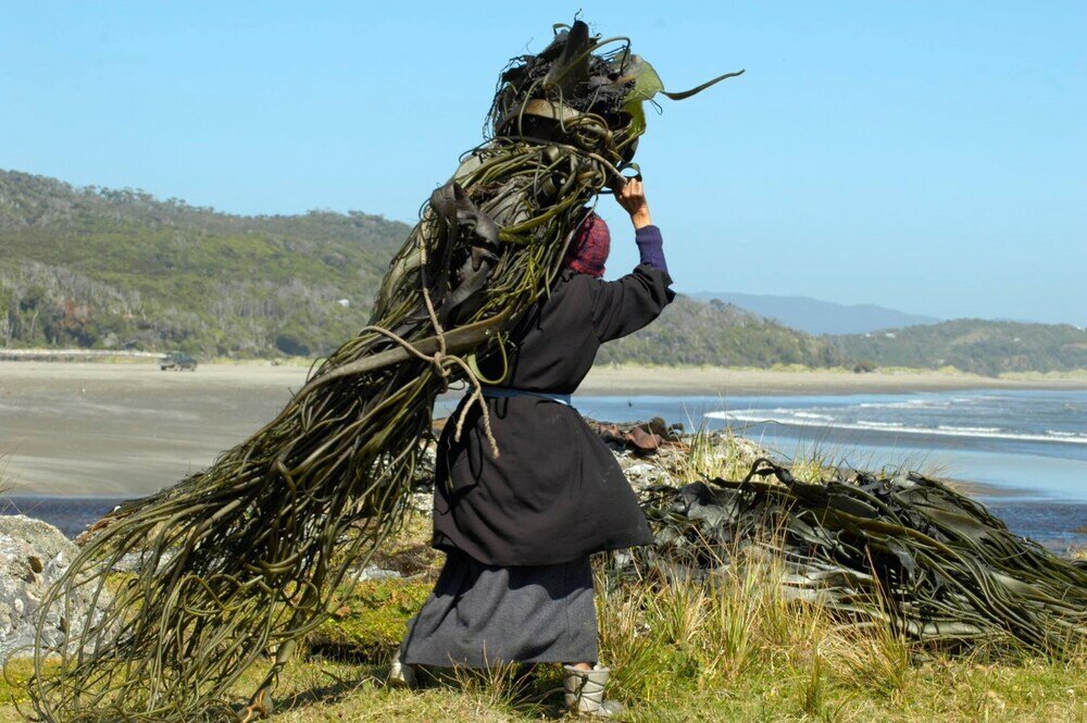 Фото Hotel Parque Tepuhueico