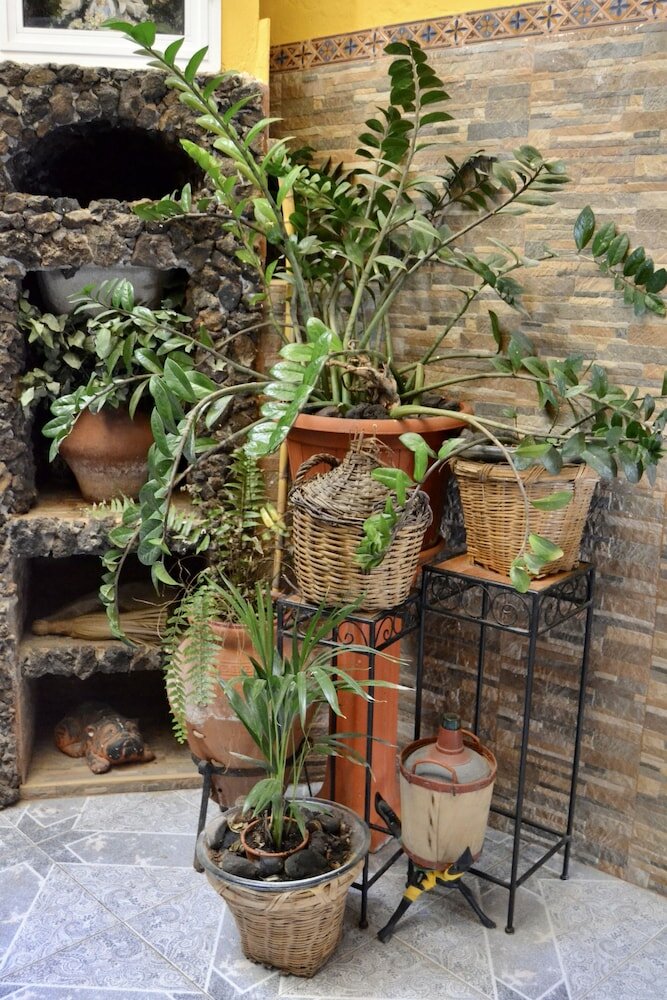 Фото Pensión Playa Mogán