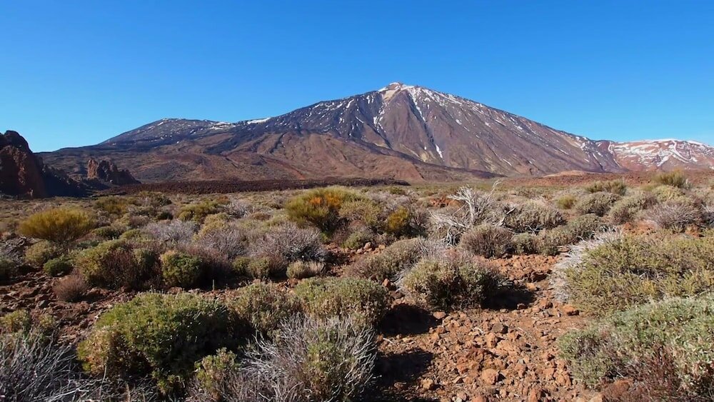 Фото Royal Sun Resort