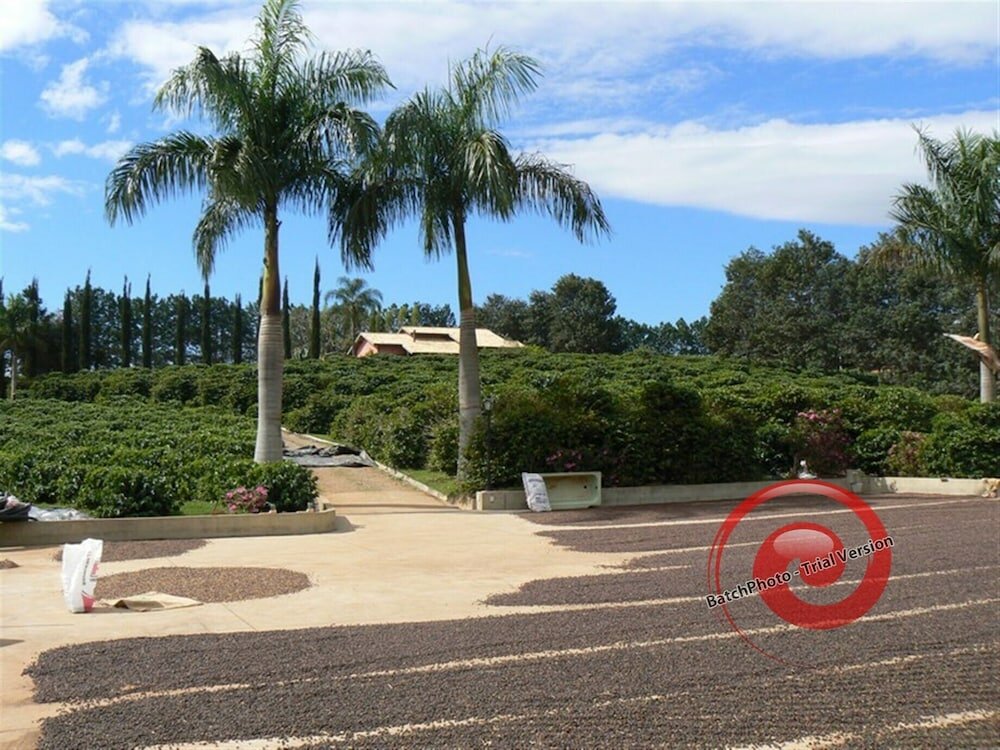 Фото Hirondelle Paraíso