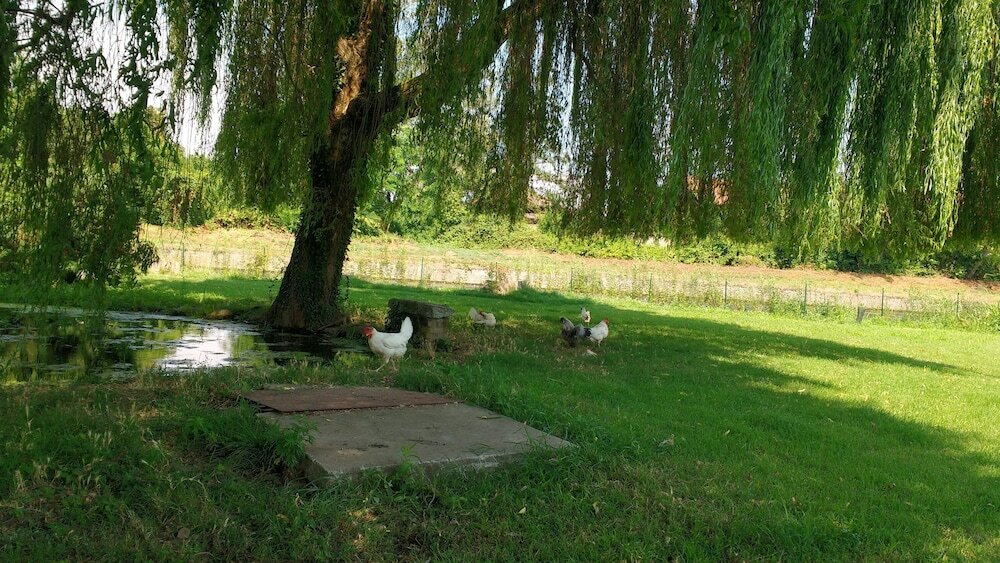 Фото Agriturismo Cascina Poscallone