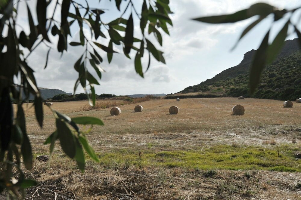 Фото B&b La Roccia dell'Elefante