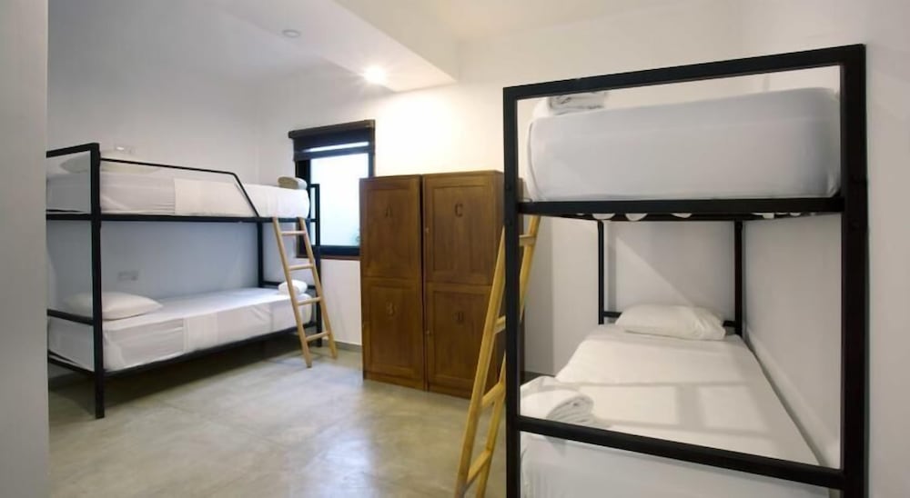 Фото Moss Colombo