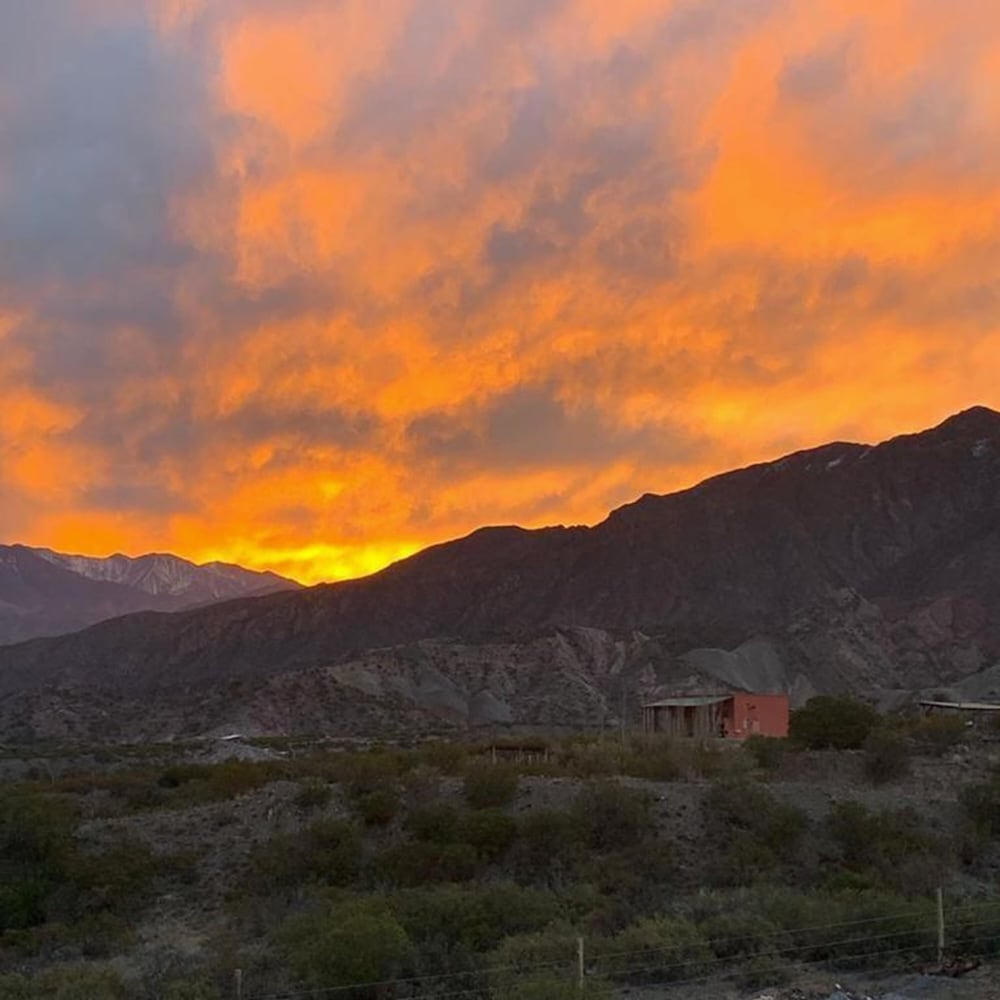 Фото Denmoza Eco Lodge Glamping