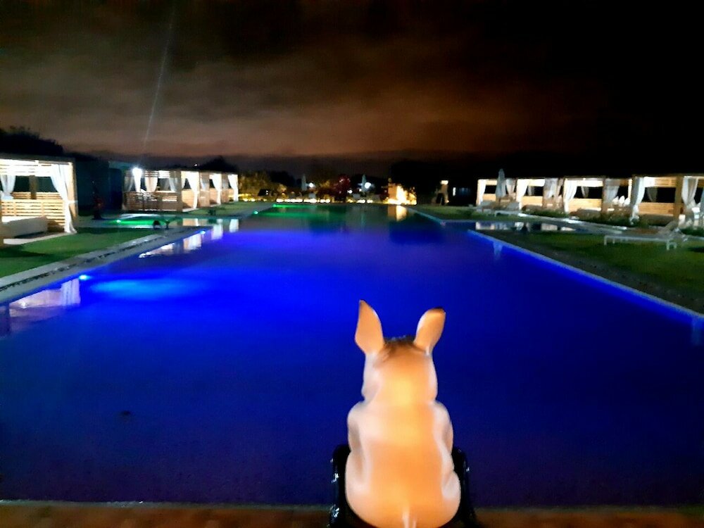 Фото The Farm Lodges And SPA