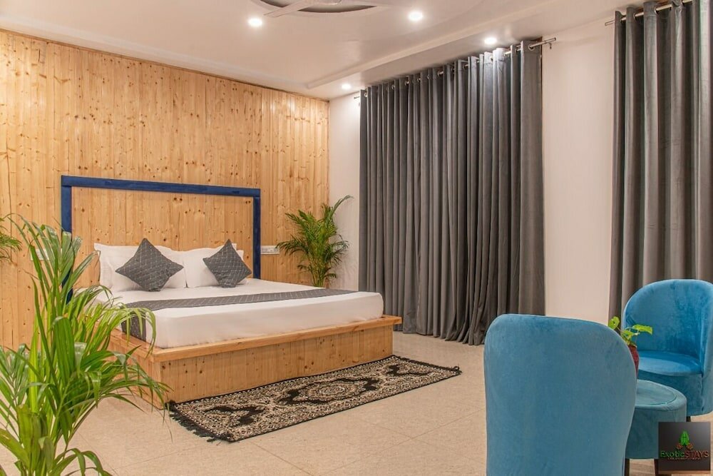 Фото The Cloud Berry