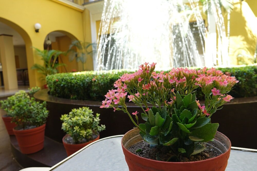 Фото Hotel América Colima