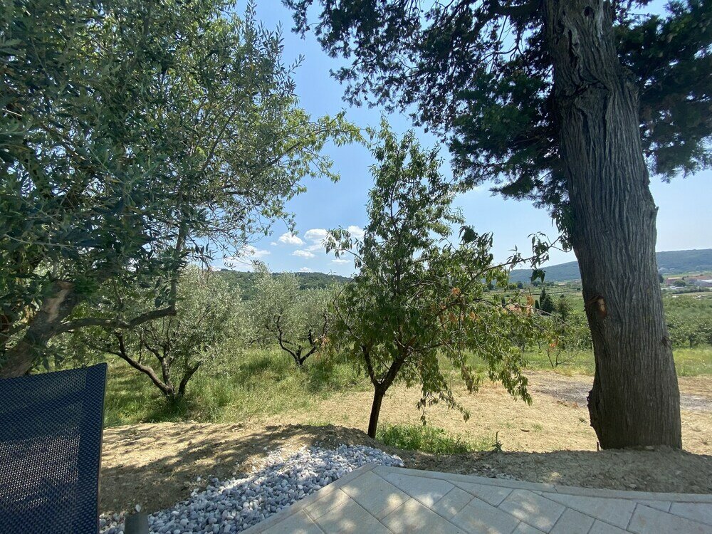 Фото Villa Olive Oasis