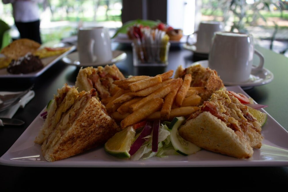 Фото Hotel Diana del Bosque by Dot Urban