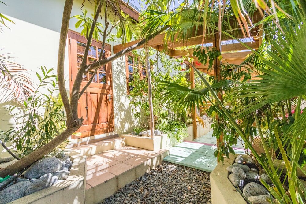 Фото Little Jungle Apartments Aruba