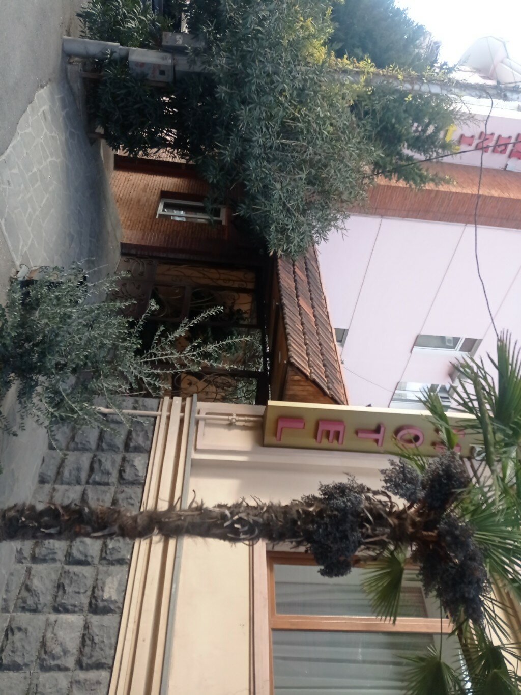 Фото Данисимо