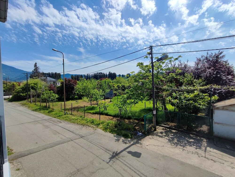 Фото Hotel Botanica