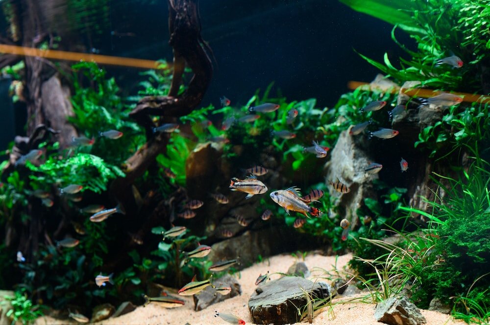 Фото Minaro Hotel Tokaj - Mgallery