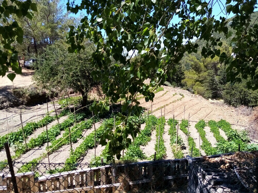 Фото Akros Oreon Hotel