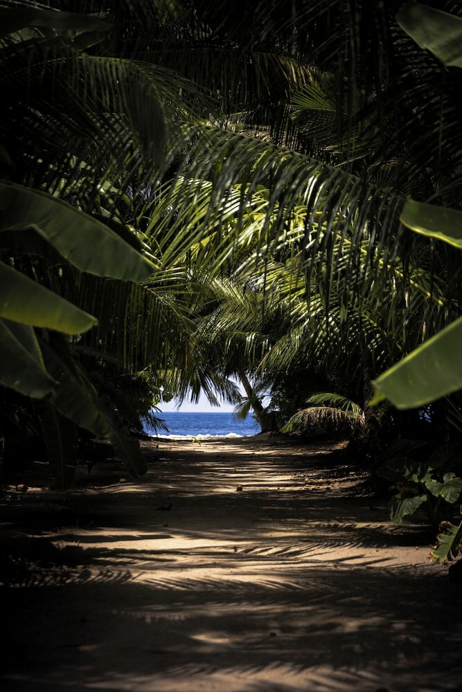 Фото Dhoani Maldives Guesthouse