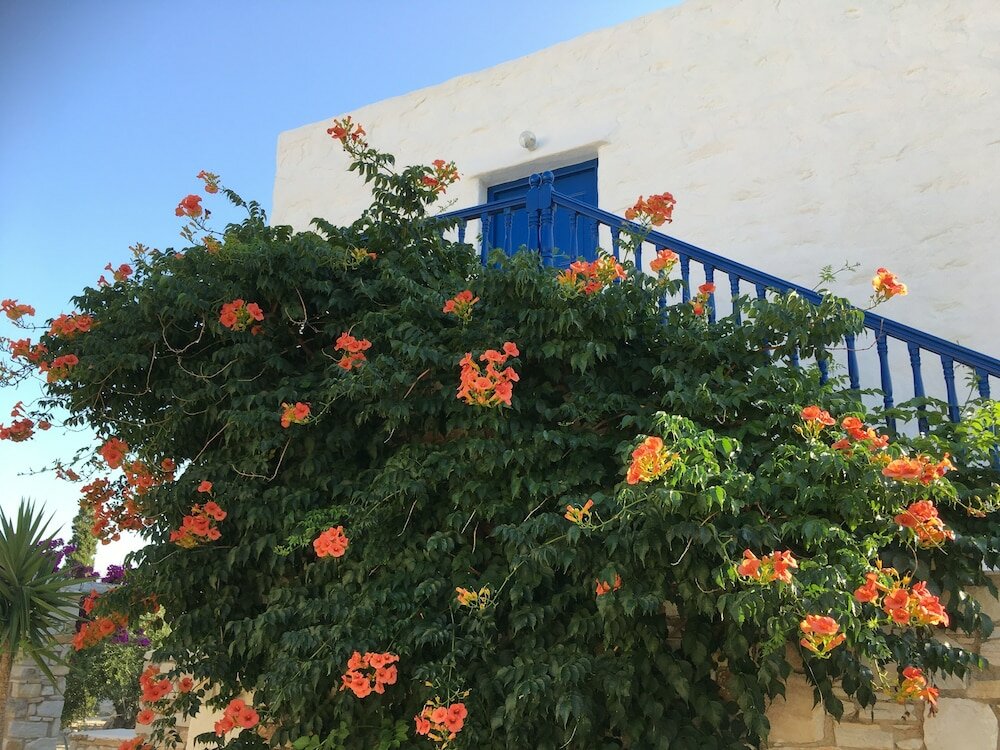 Фото Anezina Village