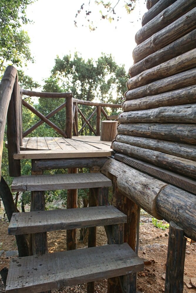 Фото Captain Ikaros