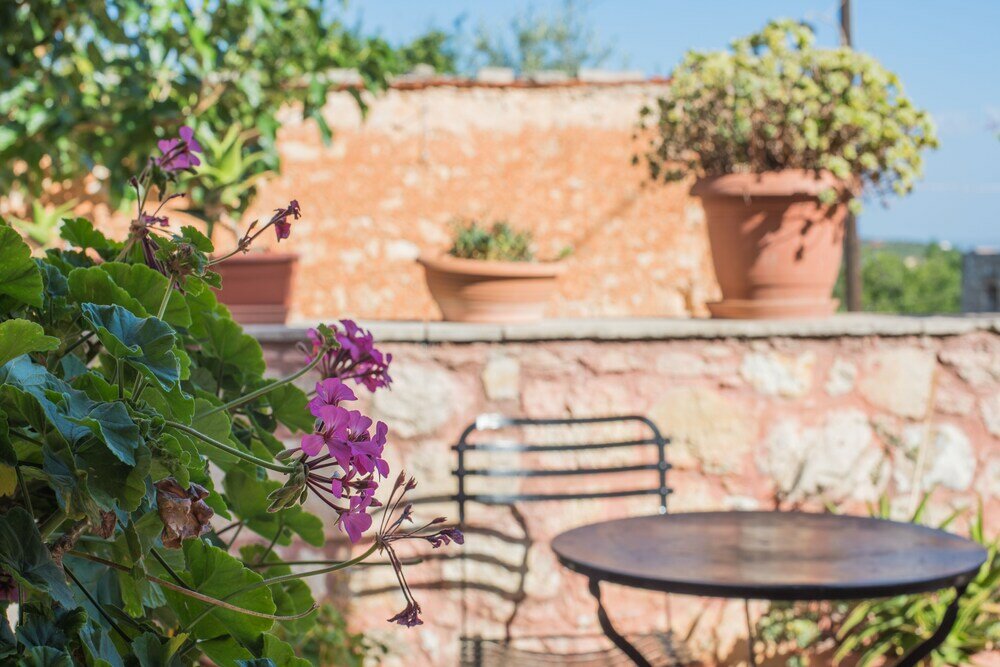 Фото Vamos Fabrica Farm