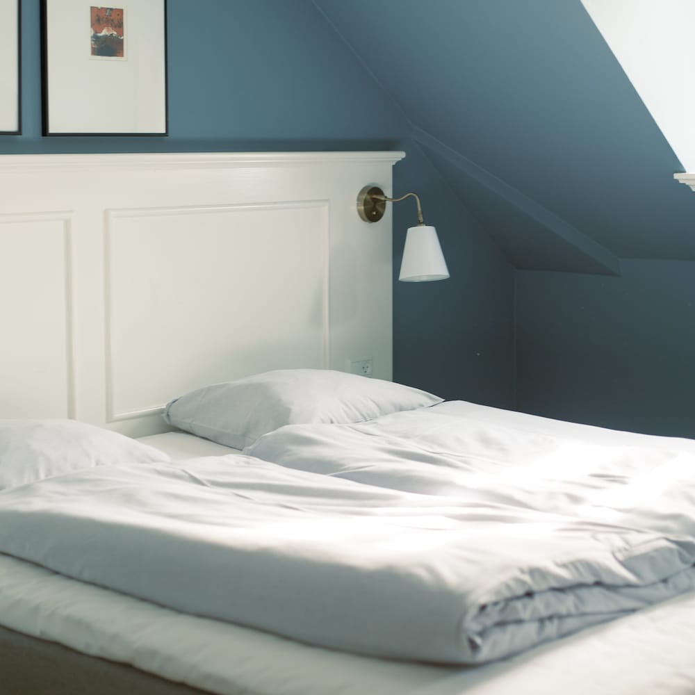 Фото Hostrups Hotel