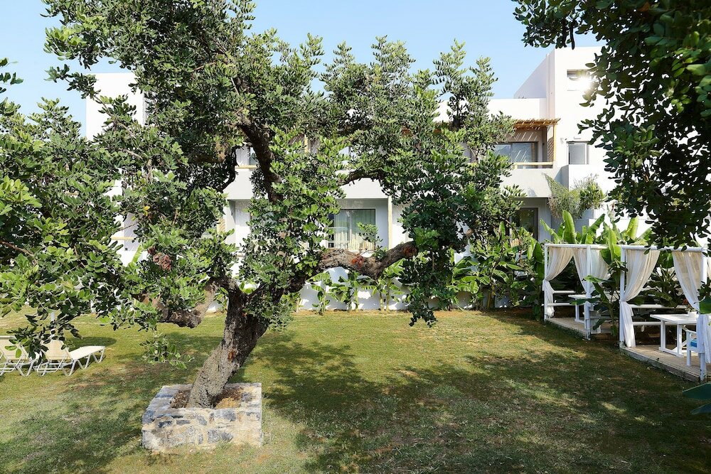 Фото Bali Star Resort Hotel