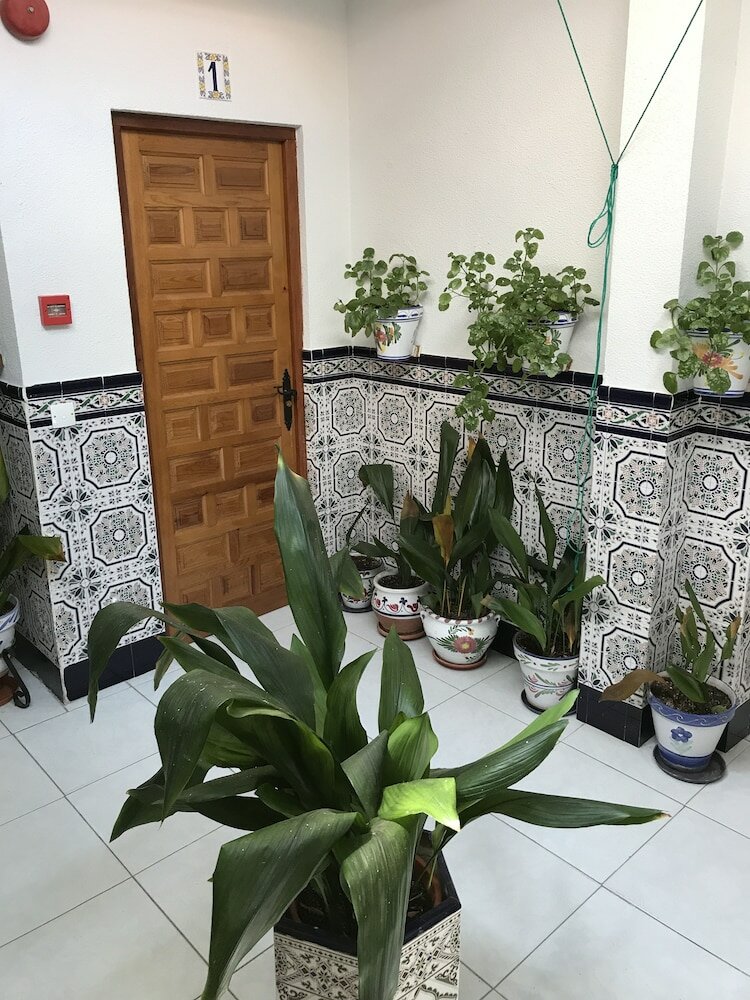 Фото Pension Los Molinos