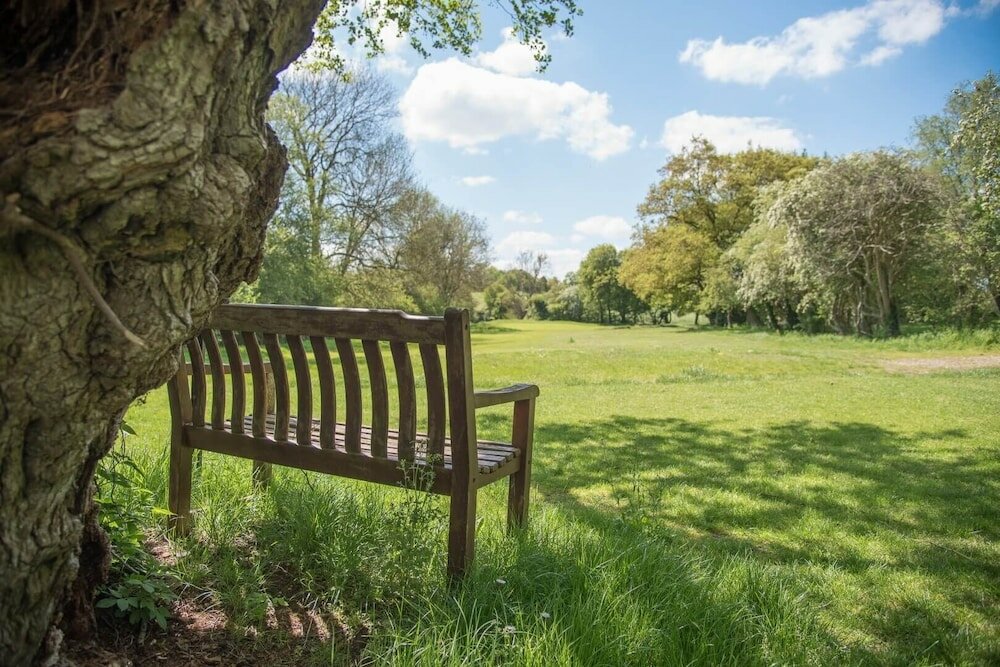 Фото Laurel Lodge Kingfishers