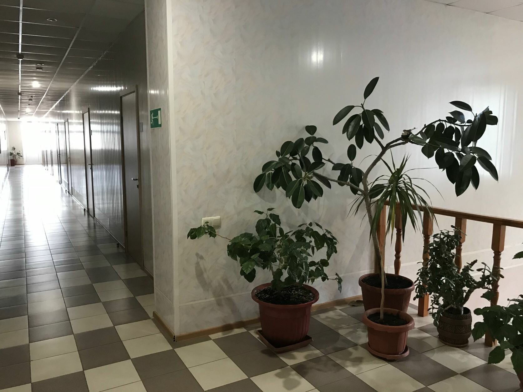 Фото Баргузин