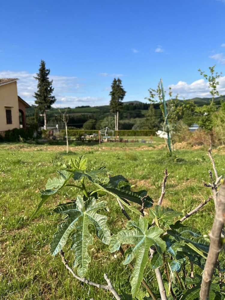 Фото Ristorante Agriturismo La Palma