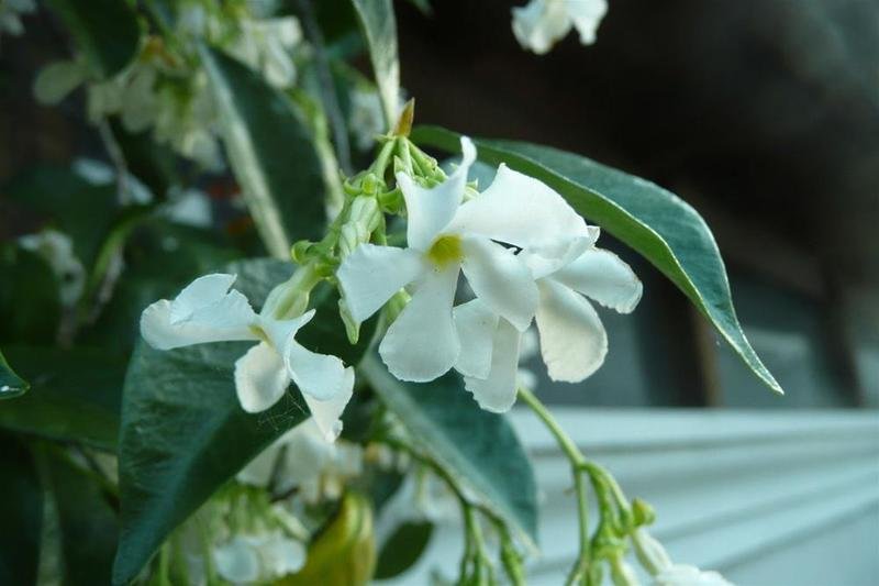 Фото Posada Gotan