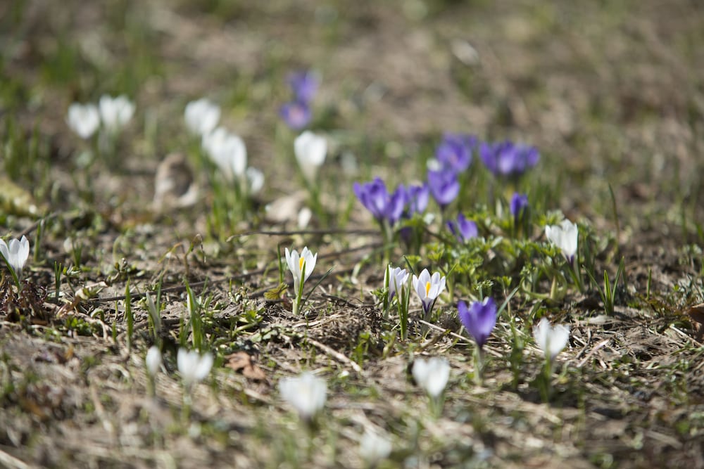 Фото Riversong Centre Thermal