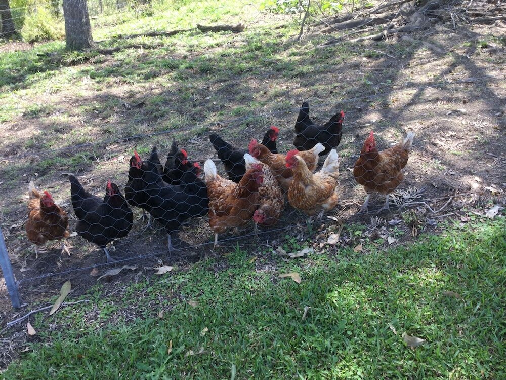 Фото The Croft Bed and Breakfast