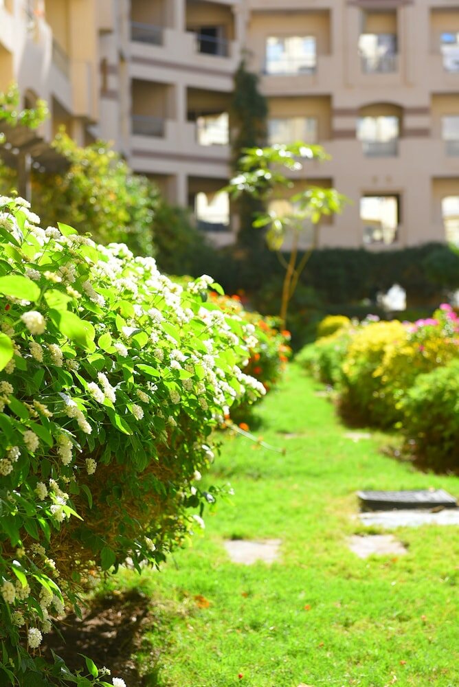 Фото Florenza Khamsin