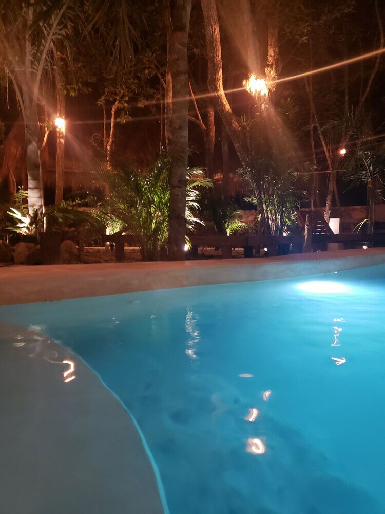 Фото Jungle Penthouse