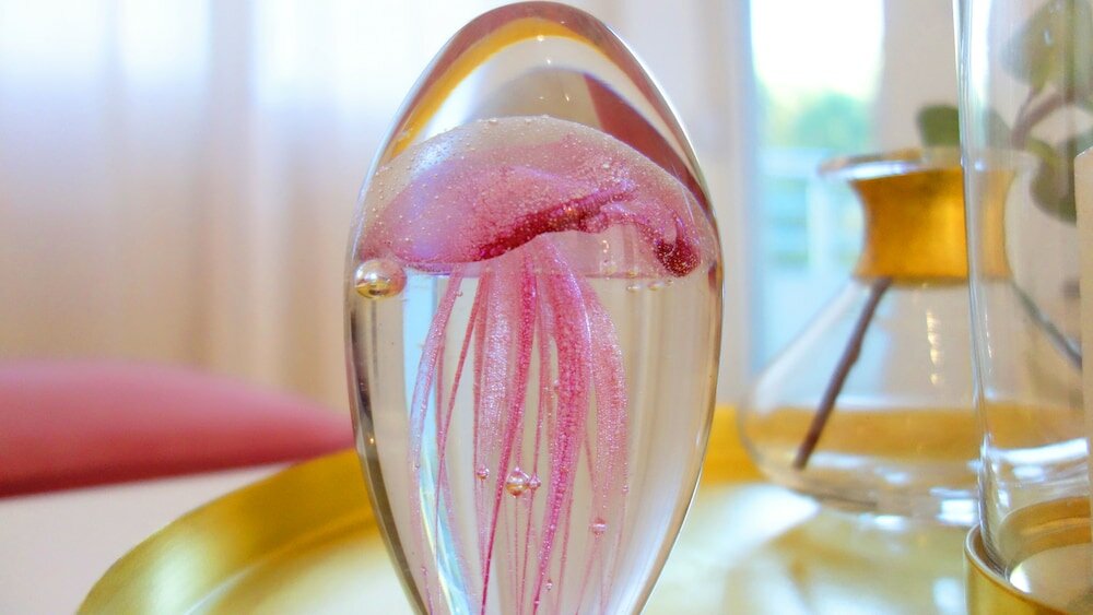 Фото Casa Budva Apartments