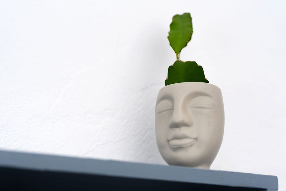 Фото 1812 Caves 'n Mansion