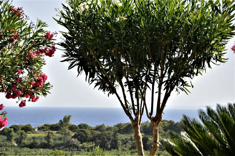 Фото Villa Belvedere Zakynthos