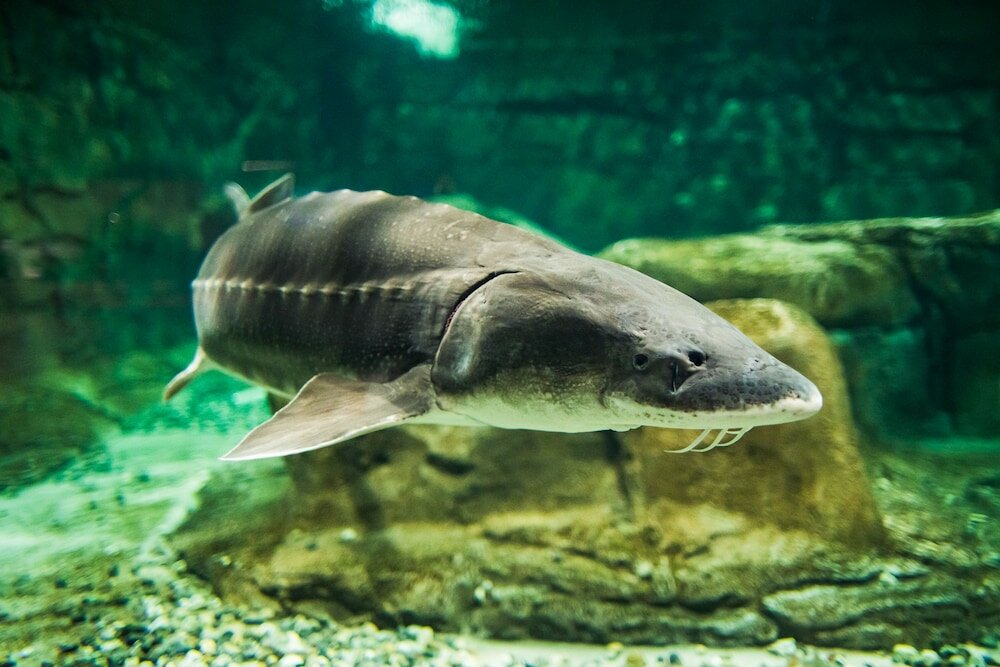 Фото Hotel Meilenstein