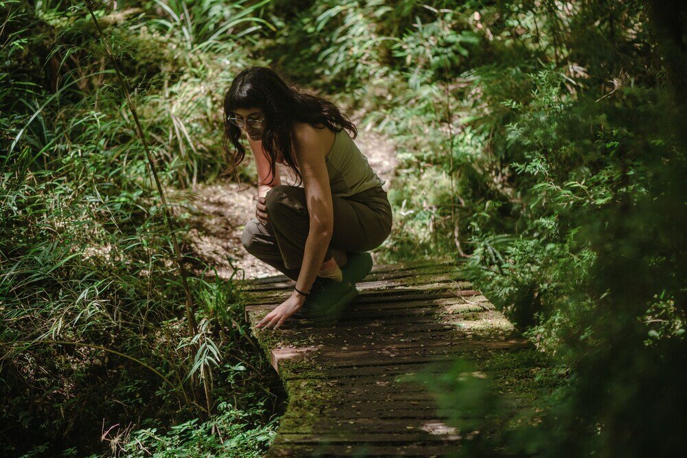 Фото Hotel Parque Tepuhueico