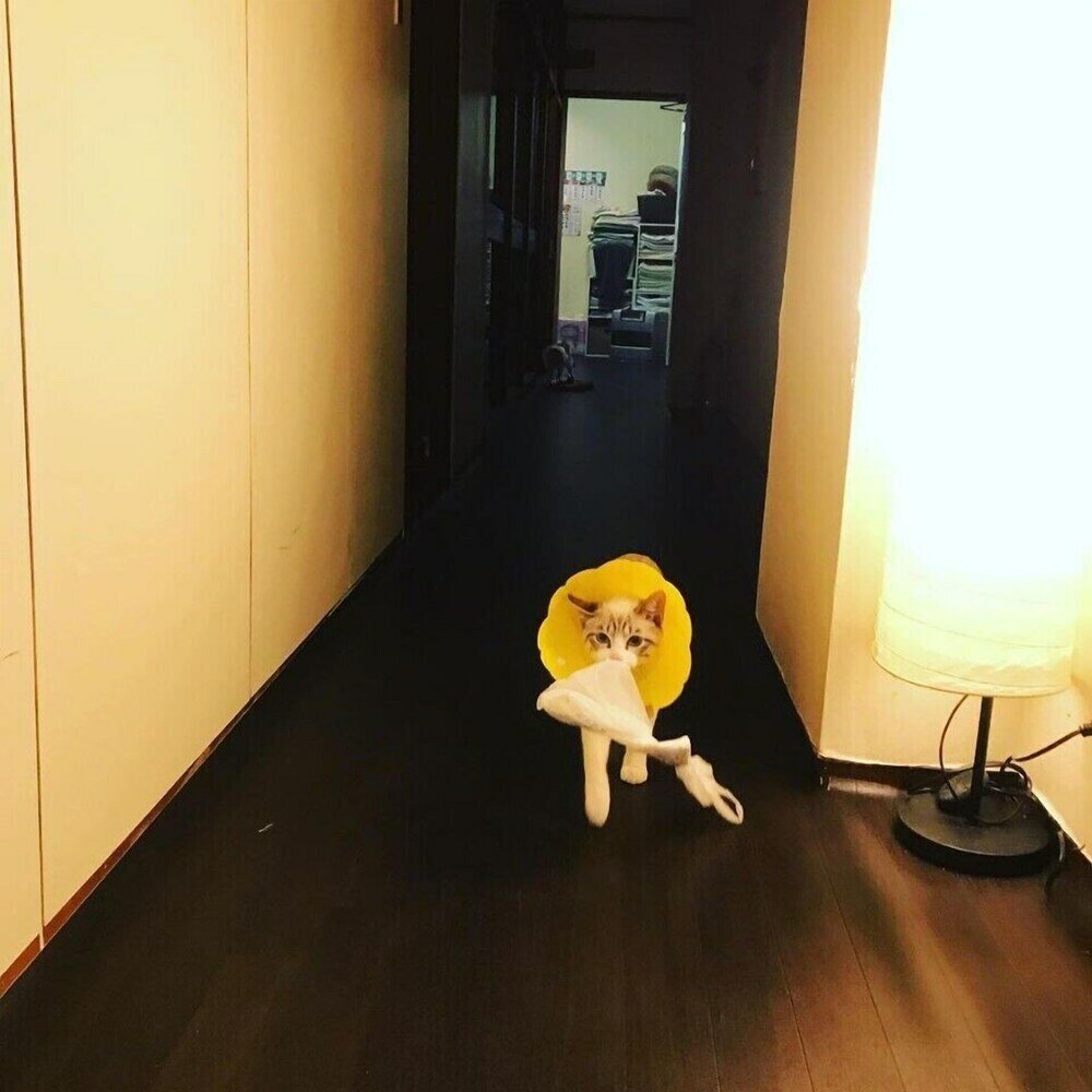 Фото Royal Home Dormitory - Hostel