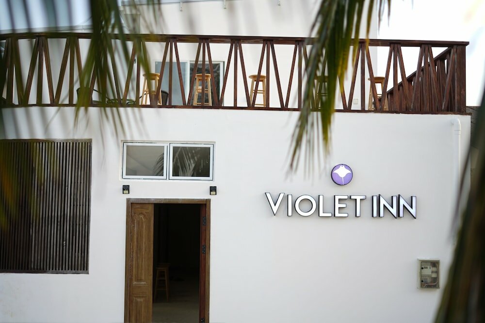 Фото Violet Inn Hotel